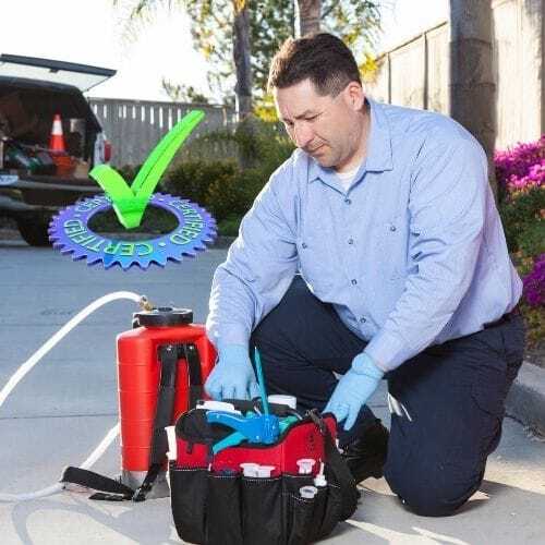 Fumigador Profesional Termitas